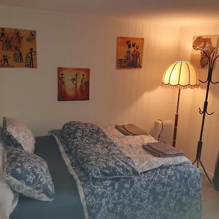 Graceland Norway - African Room With Amazing View! Homestay *